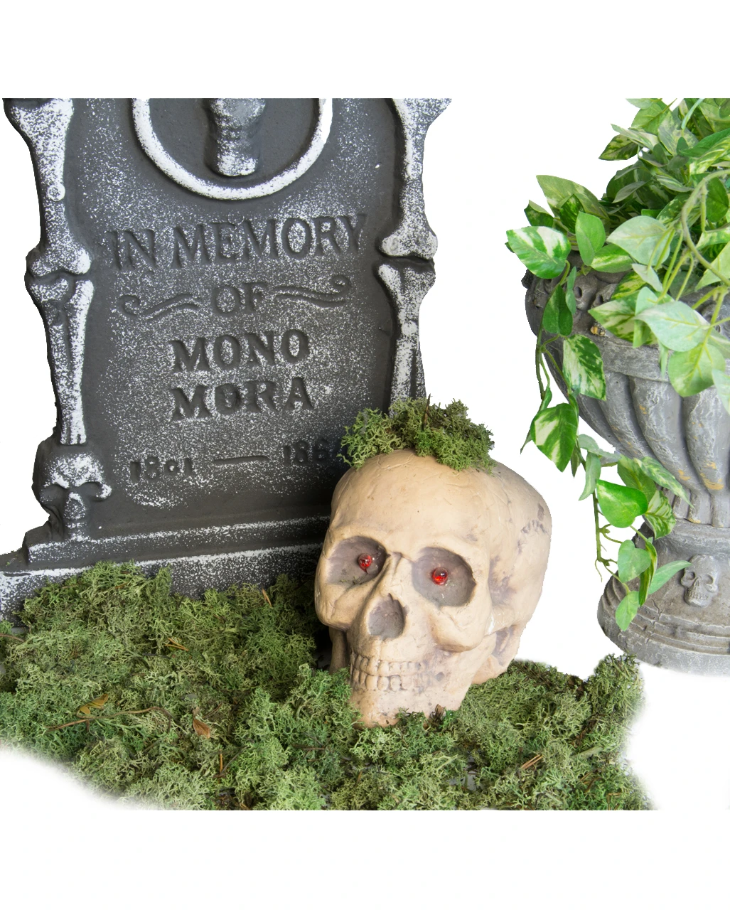 Halloween Deko Moos 100 G 4 Halloween Deko Moos 100 G – Bild 2