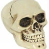 Schaltknauf Totenschädel -Halloween Deko Verkäufe horrorshop.com autoknauf totenkopf totenschaedel schaltknauf totenkopf sammlerfigur 27091