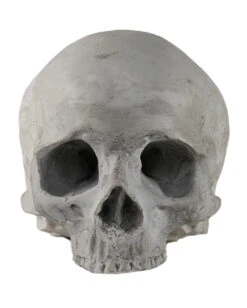 J. DOE Totenschädel 17cm 7 J. DOE Totenschädel 17cm -Halloween Deko Verkäufe j doe totenkopf j doe totenschaedel ghotic totenkopf gothic wohnaccessoire gothic homware 54856 03