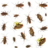 20er Pack Kakerlaken Aufkleber 1 20er Pack Kakerlaken Aufkleber -Halloween Deko Verkäufe kakerlaken aufkleber 20 stueck halloween insekten und ungeziefer dekoration cockroaches stickers 35993