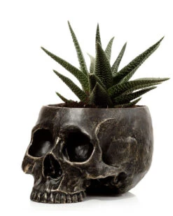 Marmorierter Gothic Totenschädel Pflanzentopf -Halloween Deko Verkäufe marmorierter gothic totenkopf pflanzenschale gothic totenschaedel pflanzenschale gothic skull plant pot 54615 02