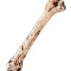 Menschlicher Kunststoff Knochen 34cm -Halloween Deko Verkäufe menschlicher knochen kunststoff human bone pvc kostuemzuebhoer 52820 01