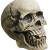 Verwitterter Skull Totenkopf -Halloween Deko Verkäufe rotting skull totenschaedel verwitterter totenkopf halloween deko 28000