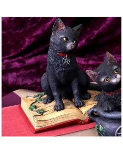 Schwarze Hexenkatze Mit Pentagramm -Halloween Deko Verkäufe schwarze katze mit hexenbuch schwarze hexenkatze mit pentagramm witch cat eclipse 39250 05