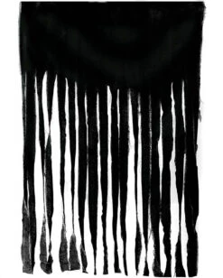 Halloween Vorhang Schwarz 100x200cm