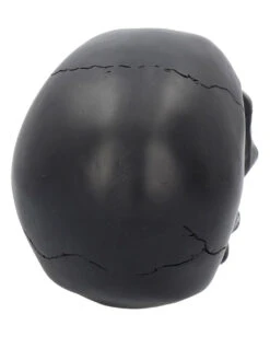 Schwarzer Totenschädel Mit Goldener Rose 15cm 12 Schwarzer Totenschädel Mit Goldener Rose 15cm -Halloween Deko Verkäufe schwarzer totenkopf mit goldener rose black skull with golden rose gothic deko gothic totenkopf 54621 05