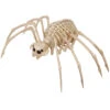 Tarantel Skelettfigur Spinne 20x35cm -Halloween Deko Verkäufe skelett tarantel spinne 100cm skeleton tarantula spider skelettfigur tier halloween 53356