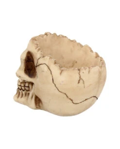 Realistische Totenschädel Schale Mit Offener Schädeldecke -Halloween Deko Verkäufe totenschaedel schale mit offener schaedeldecke realistic skull mug morbide gothic deko halloween deko totenschaedel 39289 5