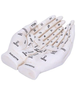 Weiße Chiromantie-Hände Teelichthalter 13 Weiße Chiromantie-Hände Teelichthalter -Halloween Deko Verkäufe weisse handlese haende kerzenhalter weisse chiromantie haende teelichthalter 51058 05