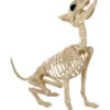 Werwolf Skelett 70cm -Halloween Deko Verkäufe werwolf skelett werwolf skeleton halloween skelett halloween deko 52649 01