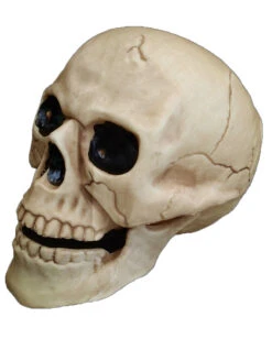 Wetterfester Totenschädel Mit Beweglichem Kiefer 20cm