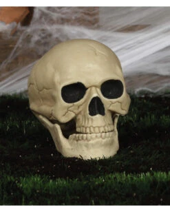 Wetterfester Totenschädel Mit Beweglichem Kiefer 20cm -Halloween Deko Verkäufe wetterfester totenkopf mit beweglichem kiefer weatherproof skull with moveable jaw halloween totenschaedel 53405 04